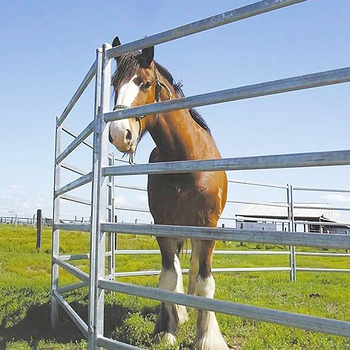 Cattle Horse Fence Panel manufacture Cattle Horse Fence Panel manufacture